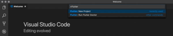 Начинаем работать с Flutter